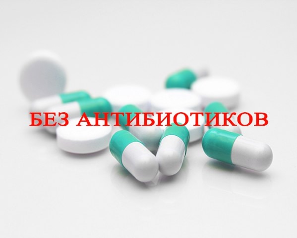 Сертификат «Без антибиотиков»