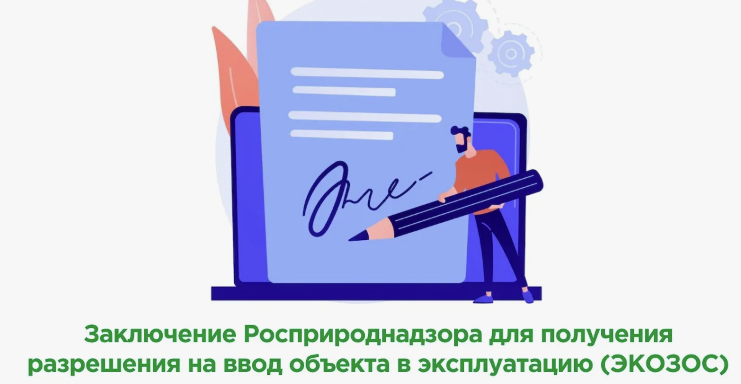 Сопровождение получения заключения ЭКОЗОС