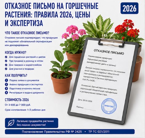Отказное письмо на горшечные растения: правила 2026, цены и экспертиза